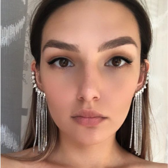 Long Tassel Rhinestone Drop Earrings - Picture 4 of 15